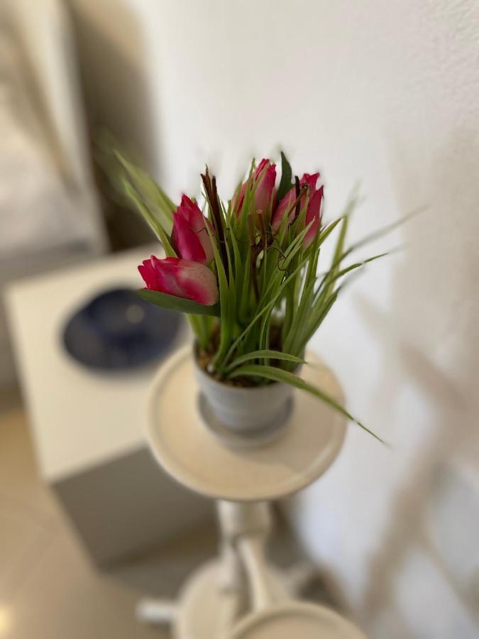 Studio Apartment Klaric Vis Dış mekan fotoğraf